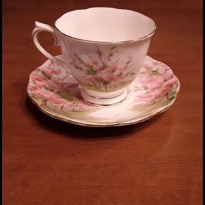 Tea cup and saucer